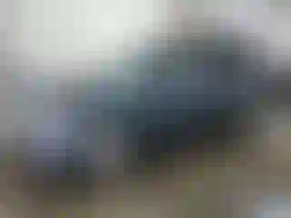 Vehicle Image- 2006 Honda Odyssey