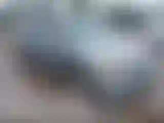 Vehicle Image- 2007 Honda Odyssey