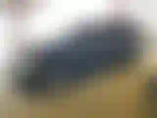 Vehicle Image- 2008 Honda Odyssey