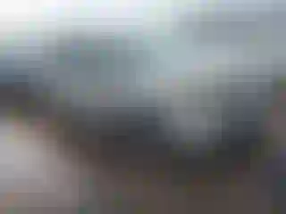 Vehicle Image- 2005 Honda Odyssey