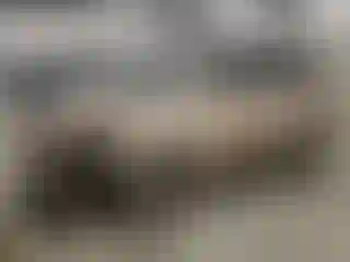 Vehicle Image- 2005 Honda Odyssey