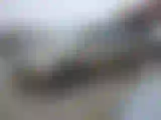 Vehicle Image- 2006 Honda Odyssey