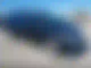 Vehicle Image- 2007 Honda Odyssey