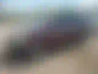 Vehicle Image- 2007 Honda Odyssey