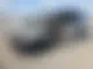 Vehicle Image- 2008 Honda Odyssey