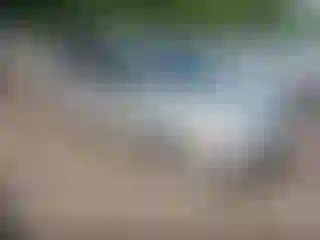 Vehicle Image- 2008 Honda Odyssey