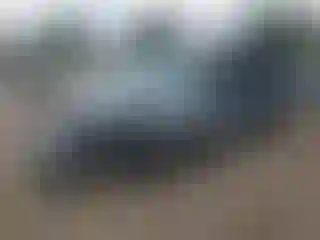 Vehicle Image- 2007 Honda Odyssey