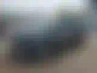 Vehicle Image- 2007 Honda Odyssey
