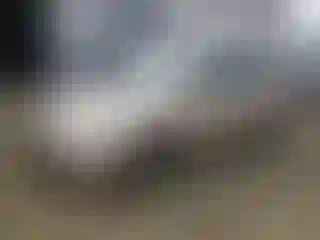 Vehicle Image- 2005 Honda Odyssey
