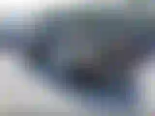 Vehicle Image- 2006 Honda Odyssey