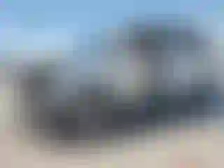 Vehicle Image- 2007 Honda Odyssey
