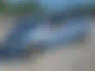 Vehicle Image- 2008 Honda Odyssey