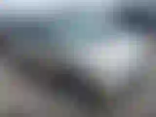 Vehicle Image- 2005 Honda Odyssey