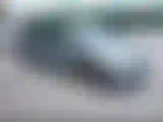 Vehicle Image- 2006 Honda Odyssey
