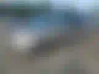 Vehicle Image- 2008 Honda Odyssey
