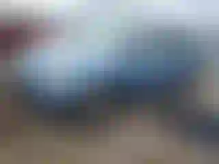 Vehicle Image- 2005 Honda Odyssey