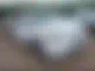 Vehicle Image- 2006 Honda Odyssey