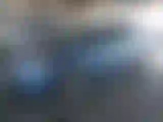 Vehicle Image- 2006 Honda Odyssey