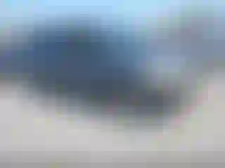 Vehicle Image- 2007 Honda Odyssey