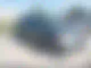 Vehicle Image- 2008 Honda Odyssey