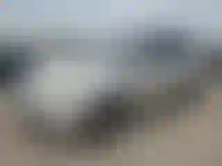 Vehicle Image- 2005 Honda Odyssey