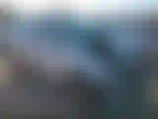 Vehicle Image- 2007 Honda Odyssey