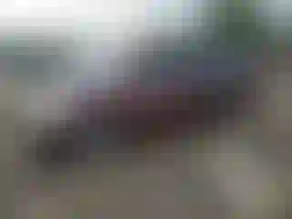 Vehicle Image- 2007 Honda Odyssey