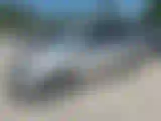 Vehicle Image- 2007 Honda Odyssey