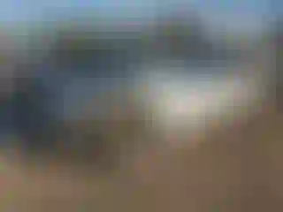 Vehicle Image- 2008 Honda Odyssey