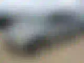 Vehicle Image- 2008 Honda Odyssey