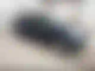 Vehicle Image- 2009 Honda Odyssey