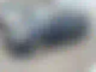 Vehicle Image- 2006 Honda Odyssey