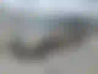 Vehicle Image- 2006 Honda Odyssey