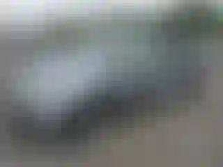 Vehicle Image- 2006 Honda Odyssey