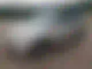 Vehicle Image- 2006 Honda Odyssey