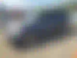 Vehicle Image- 2006 Honda Odyssey