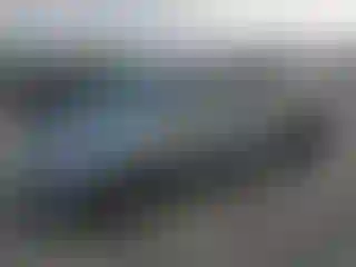 Vehicle Image- 2007 Honda Odyssey