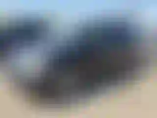 Vehicle Image- 2007 Honda Odyssey