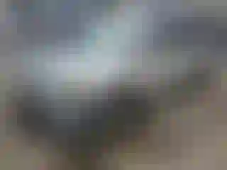 Vehicle Image- 2007 Honda Odyssey