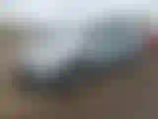 Vehicle Image- 2007 Honda Odyssey