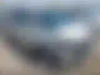 Vehicle Image- 2007 Honda Odyssey