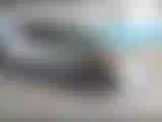Vehicle Image- 2008 Honda Odyssey