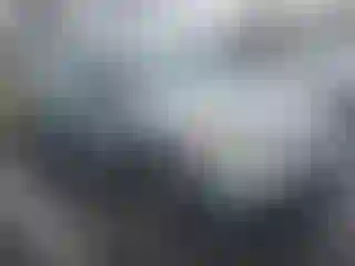 Vehicle Image- 2008 Honda Odyssey