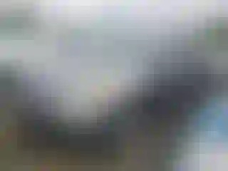 Vehicle Image- 2009 Honda Odyssey