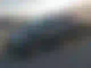 Vehicle Image- 2007 Honda Odyssey