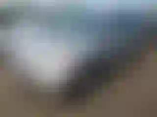 Vehicle Image- 2007 Honda Odyssey