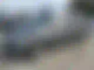Vehicle Image- 2007 Honda Odyssey