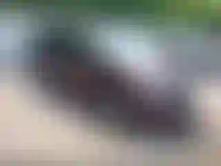 Vehicle Image- 2008 Honda Odyssey