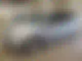 Vehicle Image- 2009 Honda Odyssey