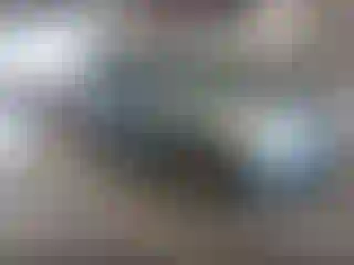 Vehicle Image- 2006 Honda Odyssey